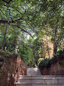 Kunming - Universite du Yunnan (63)